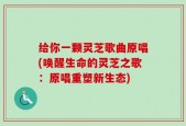 给你一颗灵芝歌曲原唱(唤醒生命的灵芝之歌：原唱重塑新生态)