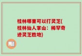 桂林哪里可以打灵芝(桂林仙人掌山：稀罕奇迹灵芝胜地)