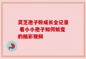 灵芝孢子粉成长全记录 看小小孢子如何蜕变的精彩视频
