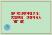 落叶松伐根种植灵芝(灵芝移栽：以落叶松为“根”据)