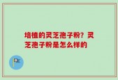 培植的灵芝孢子粉？灵芝孢子粉是怎么样的