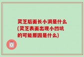 灵芝后面长小洞是什么(灵芝表面出现小凹坑的可能原因是什么)