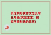 灵芝的形状作文怎么写三年级(灵芝宝宝：探究不同形状的灵芝)
