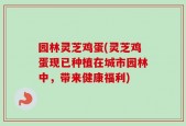园林灵芝鸡蛋(灵芝鸡蛋现已种植在城市园林中，带来健康福利)