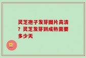 灵芝孢子发芽图片高清？灵芝发芽到成熟需要多少天