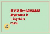 灵芝草是什么短语类型英语(What is Lingzhi Grass)