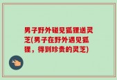 男子野外碰见狐狸送灵芝(男子在野外遇见狐狸，得到珍贵的灵芝)