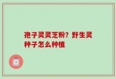 孢子灵灵芝粉？野生灵种子怎么种植