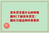 百年灵芝是什么树种类图片(了解百年灵芝：图片介绍这种珍贵草药