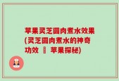 苹果灵芝圆肉煮水效果(灵芝圆肉煮水的神奇功效 – 苹果探秘)
