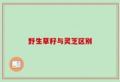 野生草籽与灵芝区别