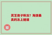 灵芝孢子粉冻？海拨最高的冻上随道