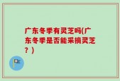 广东冬季有灵芝吗(广东冬季是否能采摘灵芝？)