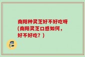 南阳种灵芝好不好吃呀(南阳灵芝口感如何，好不好吃？)