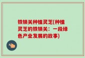 铁锁关种植灵芝(种植灵芝的铁锁关：一段绿色产业发展的故事)
