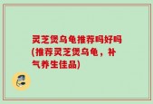 灵芝煲乌龟推荐吗好吗(推荐灵芝煲乌龟，补气养生佳品)