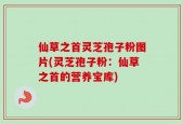 仙草之首灵芝孢子粉图片(灵芝孢子粉：仙草之首的营养宝库)