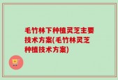 毛竹林下种植灵芝主要技术方案(毛竹林灵芝种植技术方案)