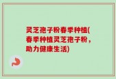 灵芝孢子粉春季种植(春季种植灵芝孢子粉，助力健康生活)