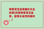 禅意灵芝盆景图片大全欣赏(欣赏禅意灵芝盆景，感受大自然的美妙。)