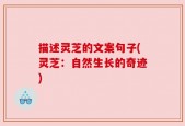 描述灵芝的文案句子(灵芝：自然生长的奇迹)
