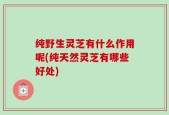 纯野生灵芝有什么作用呢(纯天然灵芝有哪些好处)