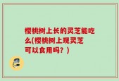 樱桃树上长的灵芝能吃么(樱桃树上现灵芝 可以食用吗？)