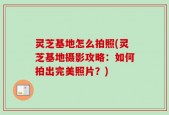 灵芝基地怎么拍照(灵芝基地摄影攻略：如何拍出完美照片？)