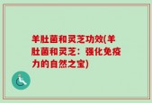 羊肚菌和灵芝功效(羊肚菌和灵芝：强化免疫力的自然之宝)
