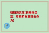初期海灵芝(初期海灵芝：珍稀药材重现生命力)