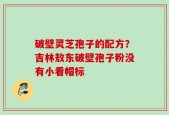 破壁灵芝孢子的配方？吉林敖东破壁孢子粉没有小看帽标