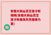 安徽大别山灵芝孢子粉视频(安徽大别山灵芝孢子粉展现天然健康力量)