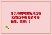 什么动物嘴里衔灵芝呢(动物口中衔食的神秘物质：灵芝！)