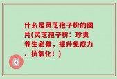 什么是灵芝孢子粉的图片(灵芝孢子粉：珍贵养生必备，提升免疫力、抗氧化！)