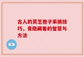 古人的灵芝孢子采摘技巧，竟隐藏着的智慧与方法
