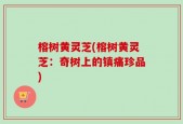 榕树黄灵芝(榕树黄灵芝：奇树上的镇痛珍品)