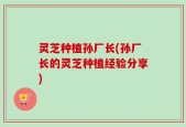 灵芝种植孙厂长(孙厂长的灵芝种植经验分享)