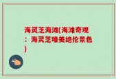 海灵芝海滩(海滩奇观：海灵芝唯美绝伦景色)