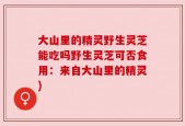 大山里的精灵野生灵芝能吃吗野生灵芝可否食用：来自大山里的精灵)