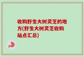 收购野生大树灵芝的地方(野生大树灵芝收购站点汇总)
