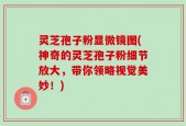灵芝孢子粉显微镜图(神奇的灵芝孢子粉细节放大，带你领略视觉美妙！)
