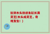 捡到木头放进鱼缸长满灵芝(木头成灵芝，奇观发生！)
