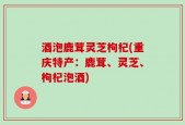 酒泡鹿茸灵芝枸杞(重庆特产：鹿茸、灵芝、枸杞泡酒)