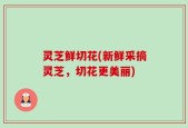 灵芝鲜切花(新鲜采摘灵芝，切花更美丽)