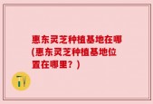 惠东灵芝种植基地在哪(惠东灵芝种植基地位置在哪里？)