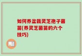如何养盆栽灵芝孢子菌苗(养灵芝菌苗的六个技巧)
