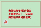 安徽皖孢子粉(安徽出土重要化石：一亿年前蕨类孢子粉闪亮登场)