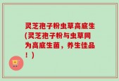 灵芝孢子粉虫草高底生(灵芝孢子粉与虫草同为高底生菌，养生佳品！)