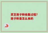 灵芝孢子粉收集过程？孢子粉是怎么来的