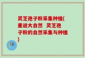 灵芝孢子粉采集种植(重返大自然  灵芝孢子粉的自然采集与种植)
